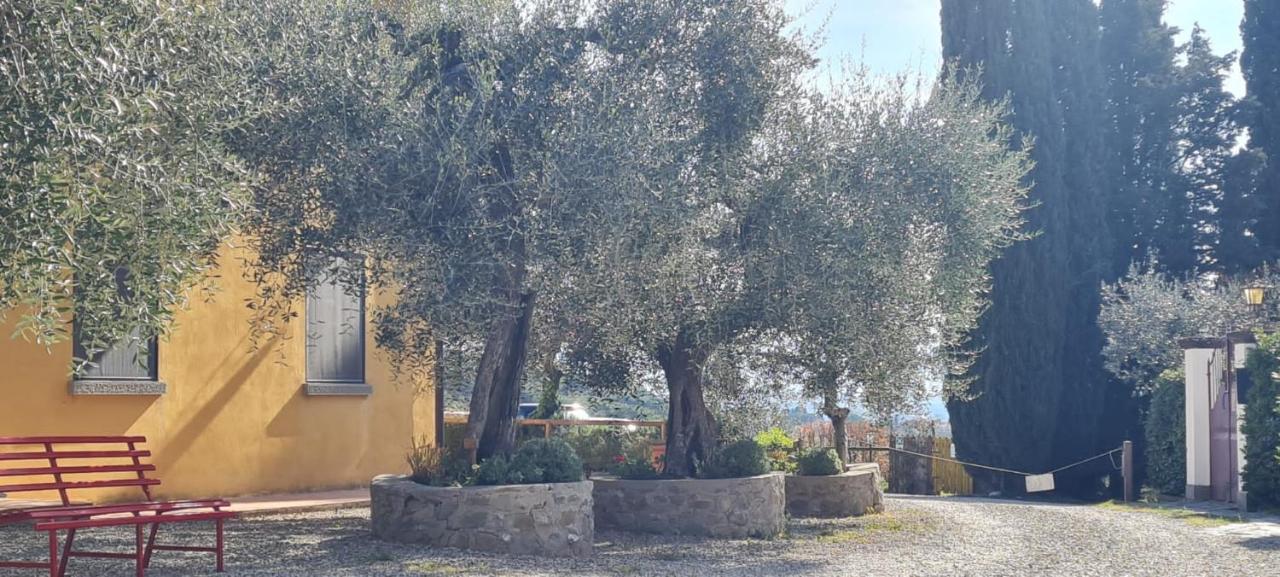 Agriturismo Il Pintello San Casciano in Val di Pesa Exterior foto