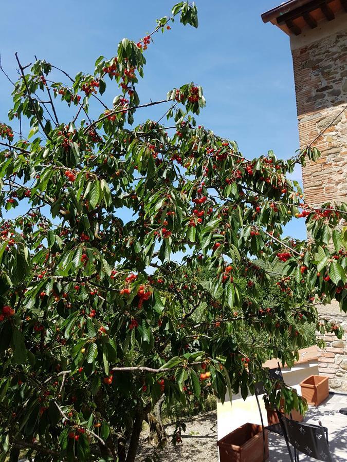 Agriturismo Il Pintello San Casciano in Val di Pesa Exterior foto